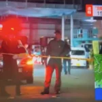 Atentado indiscriminado en Tokio: una tragedia que deja huérfanos y heridos en un mar de terror y confusión