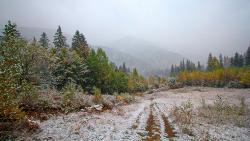 La llegada de las reinas del frío: Heladas y posibles tormentas de nieve azotarán varias regiones del país este día de festividades.