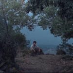 Recomendaciones de películas disponibles en plataformas de streaming