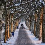 Tormenta Invernal azota Europa: nieve y hielo detienen vuelos y paralizan la movilidad en múltiples países