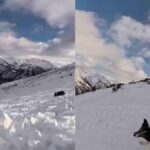Esquiadora se ve envuelta en aterradora avalancha en las pistas de esquí y queda atrapada junto a su perrito.