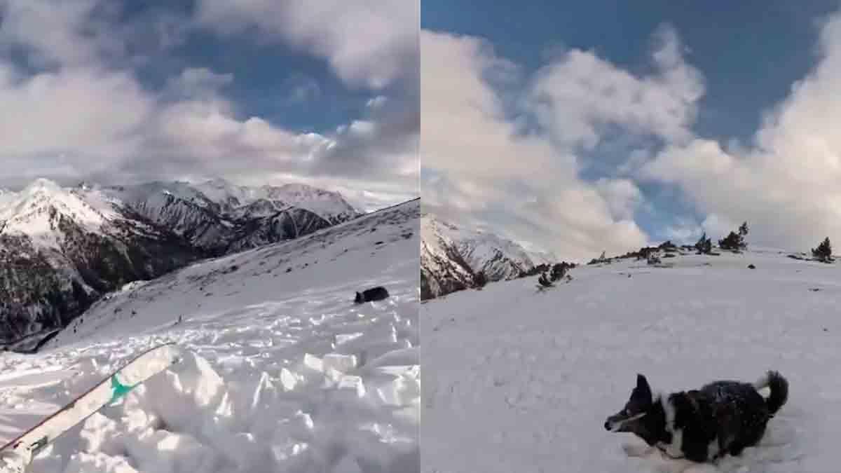 Esquiadora se ve envuelta en aterradora avalancha en las pistas de esquí y queda atrapada junto a su perrito.